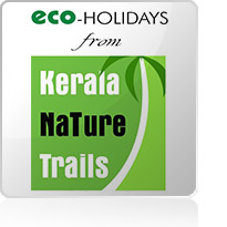 Kerala Nature