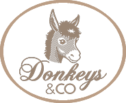 Donkeys & Co